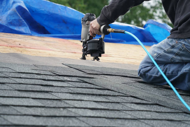 Best Flat Roof Repair Services  in Bells, TN